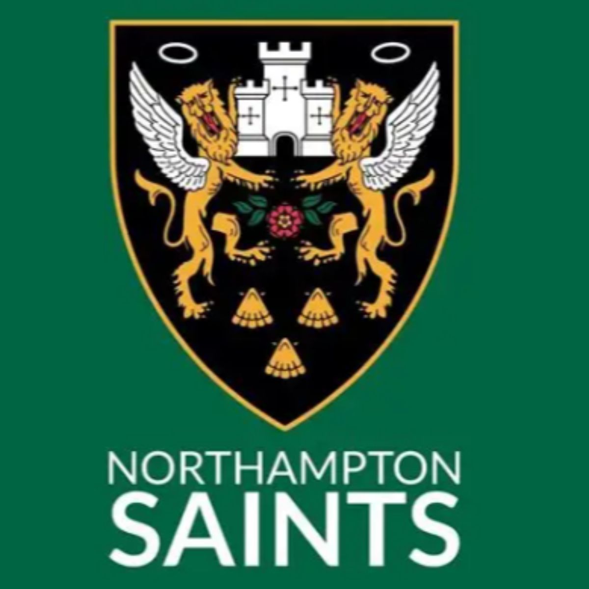 2 Tickets for Northampton Saints-V-Leicester Tigers - Friday 6th November 2026